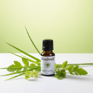 Woodwalk Citronella Essential Oil